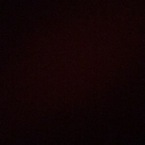 Meet your Posher, Kenny